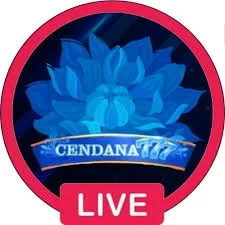 Cara Update Aplikasi cendana777 ke Versi Terbaru